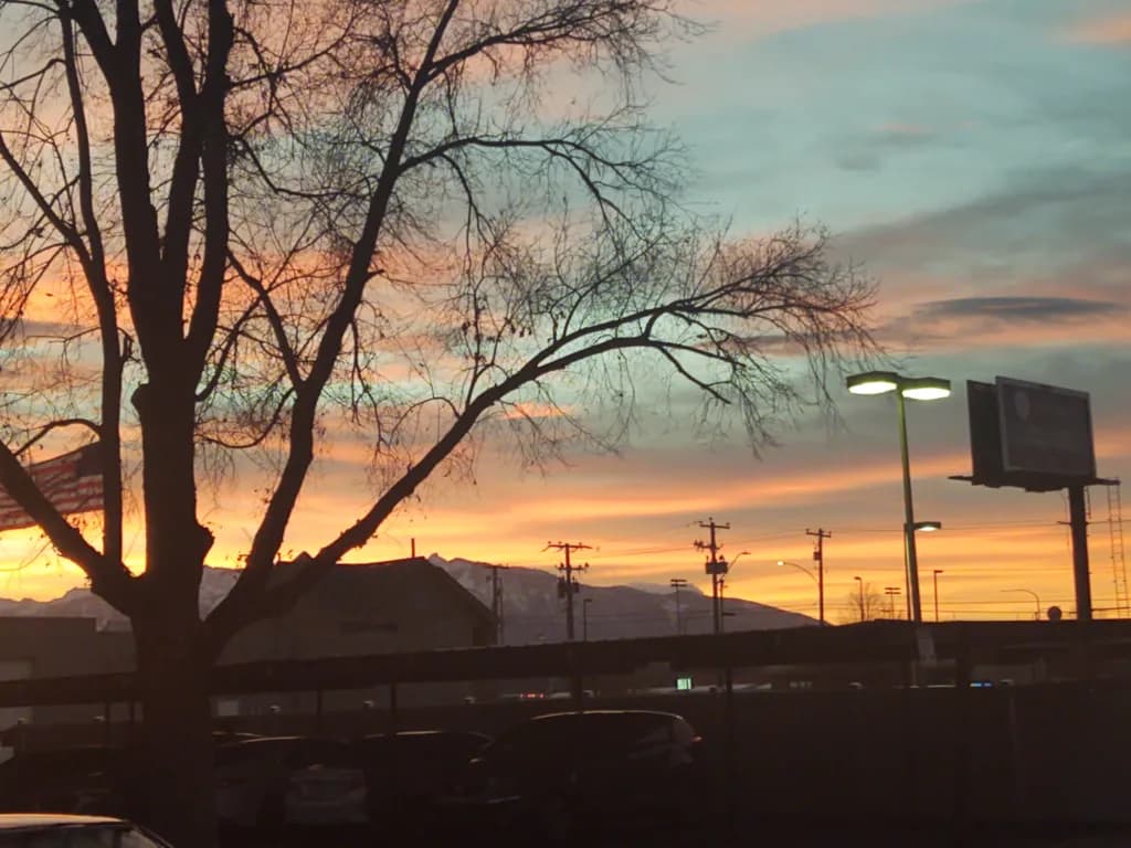 Tree-Framed Mountain Sunset