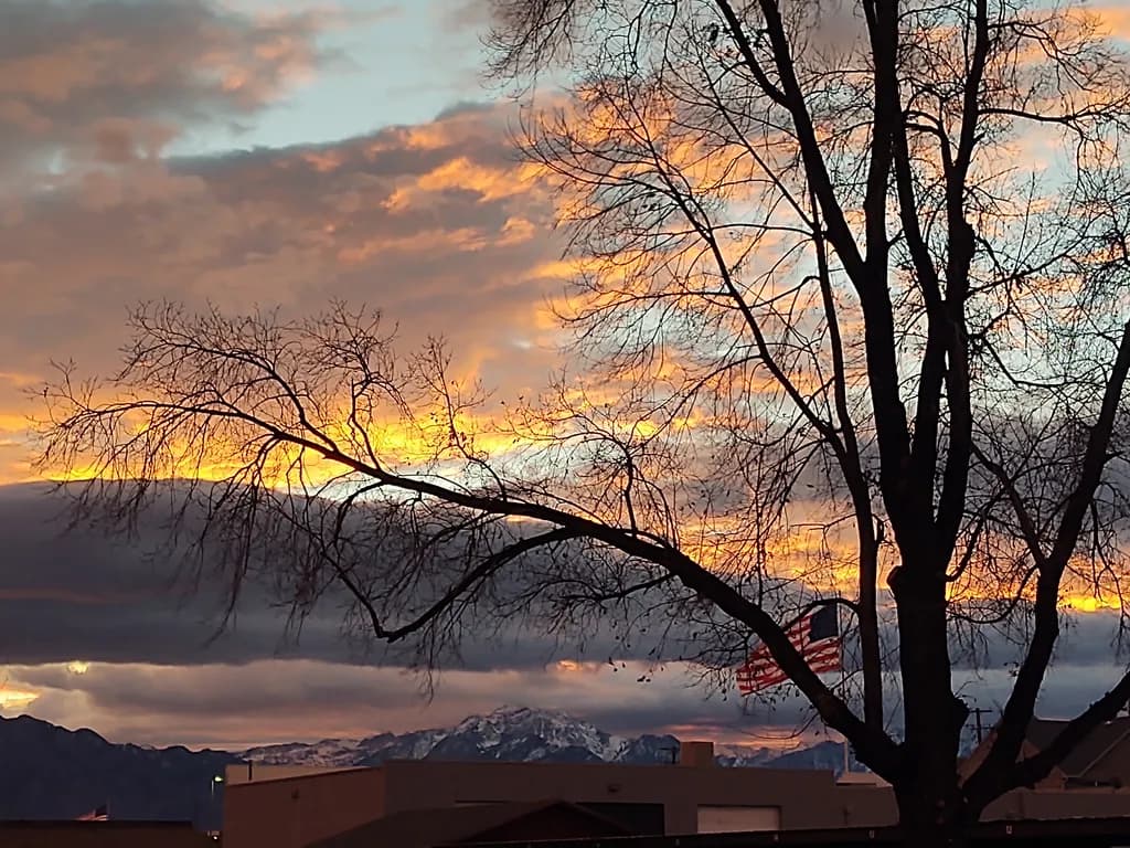 Tree-Framed Mountain Sunset