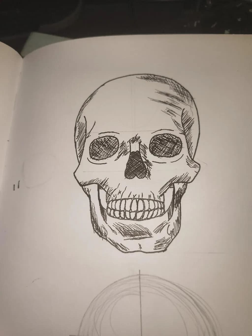 Ink Skull Study