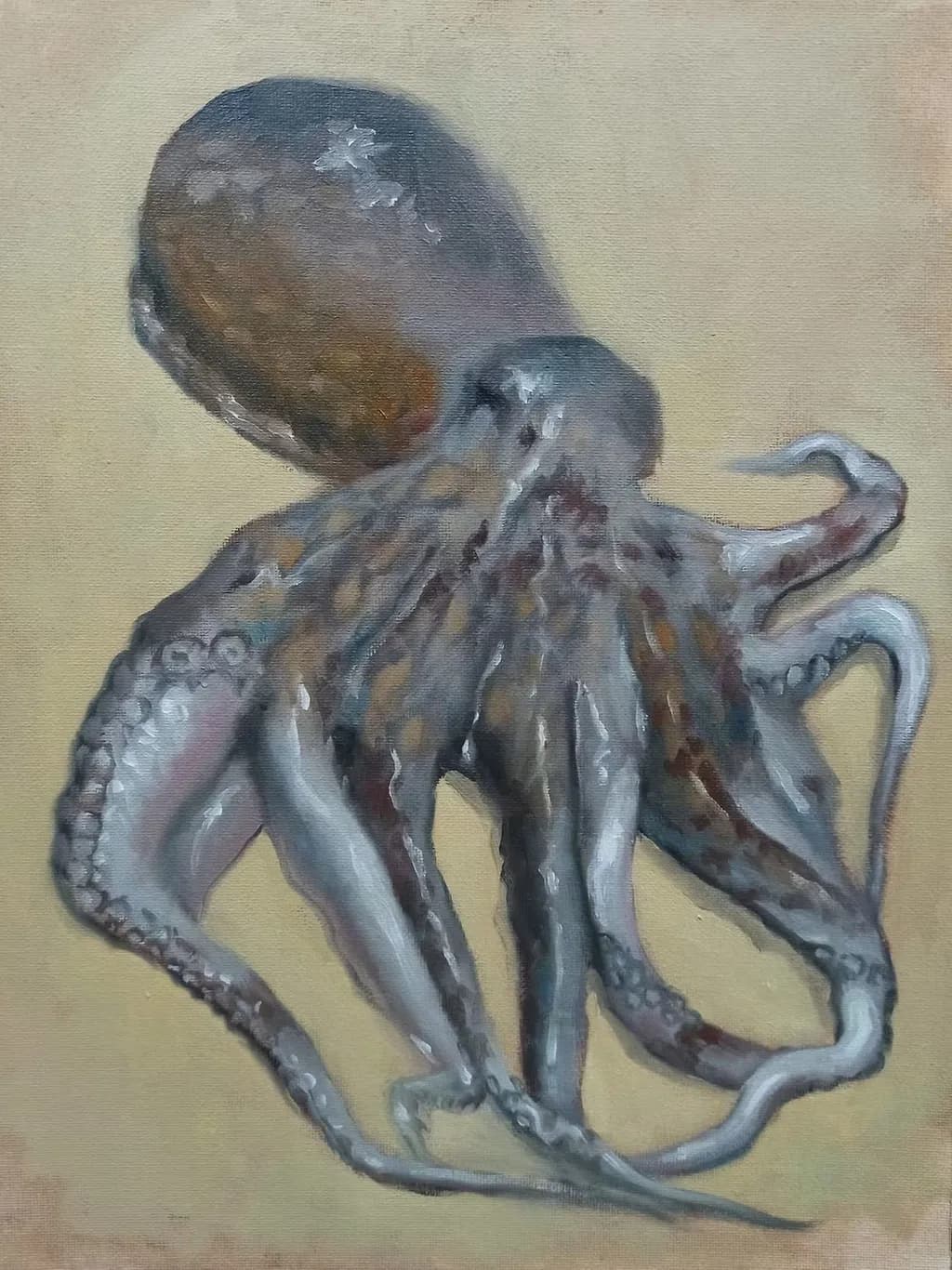 Octopus in Motion