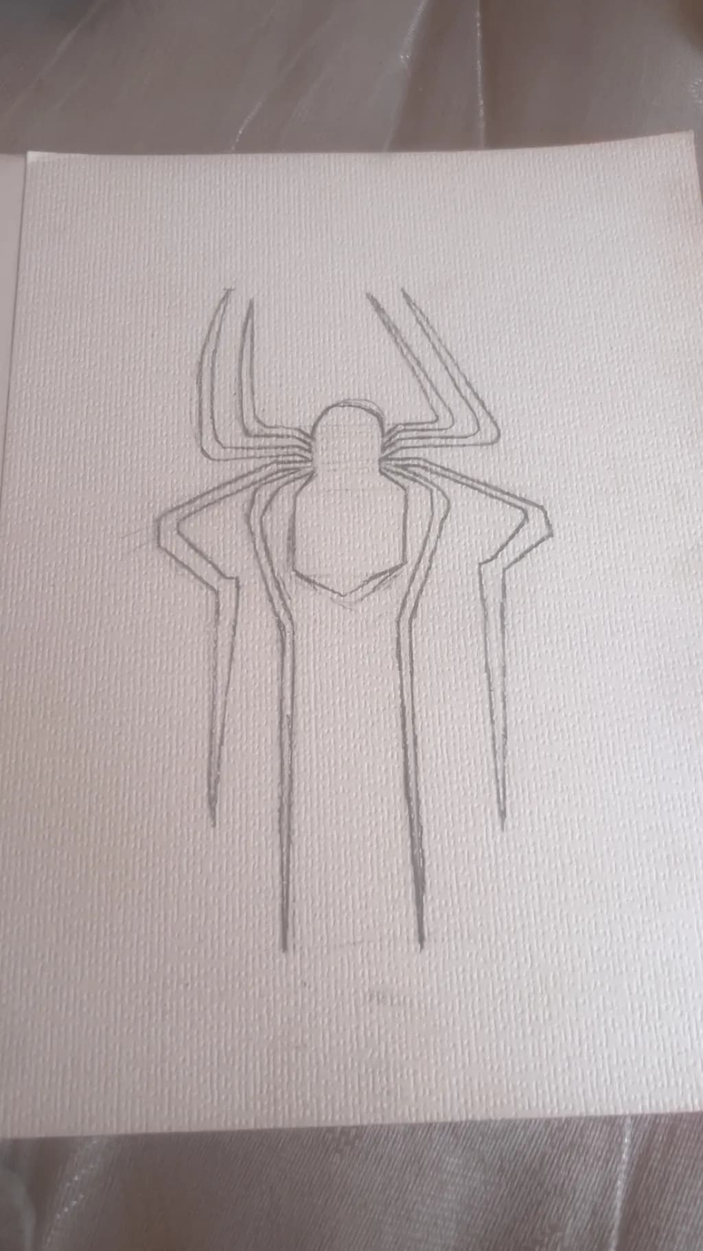 Geometric Spider Study