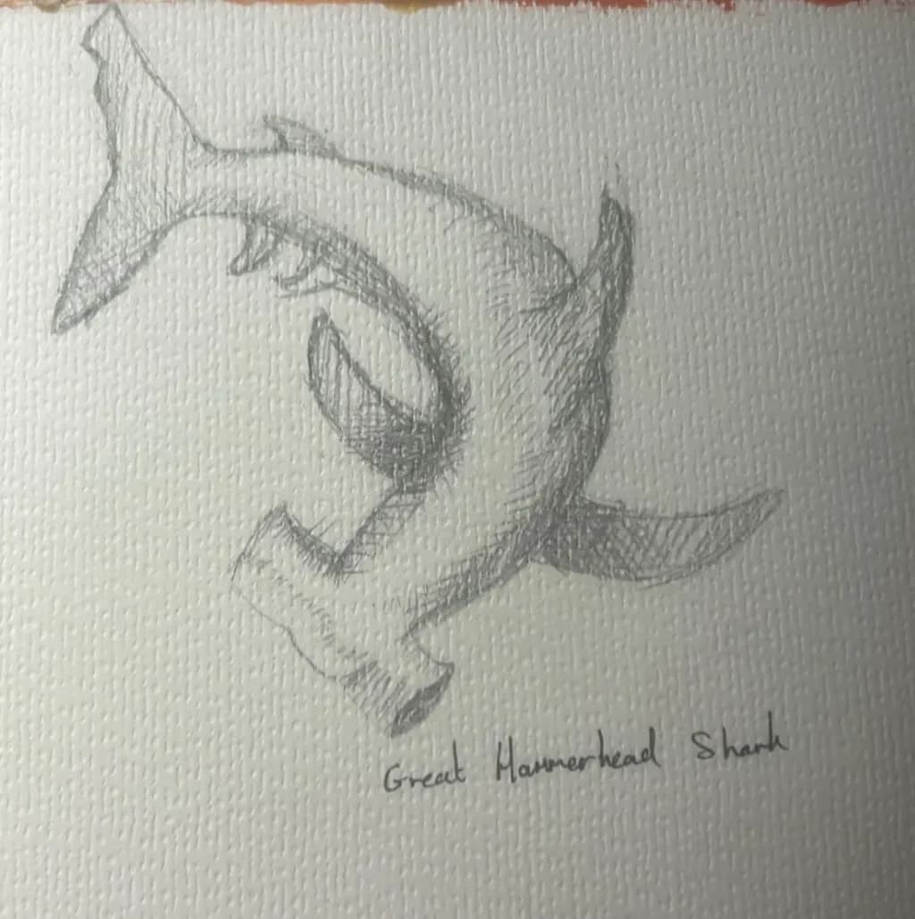 Great Hammerhead Shark Study