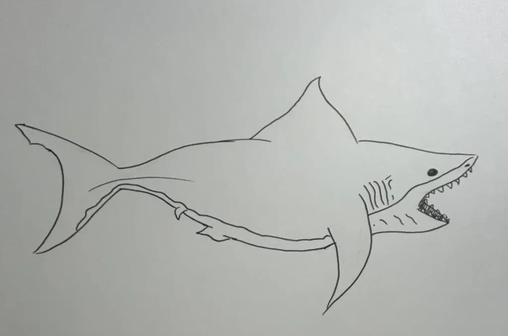 Shark in Motion
