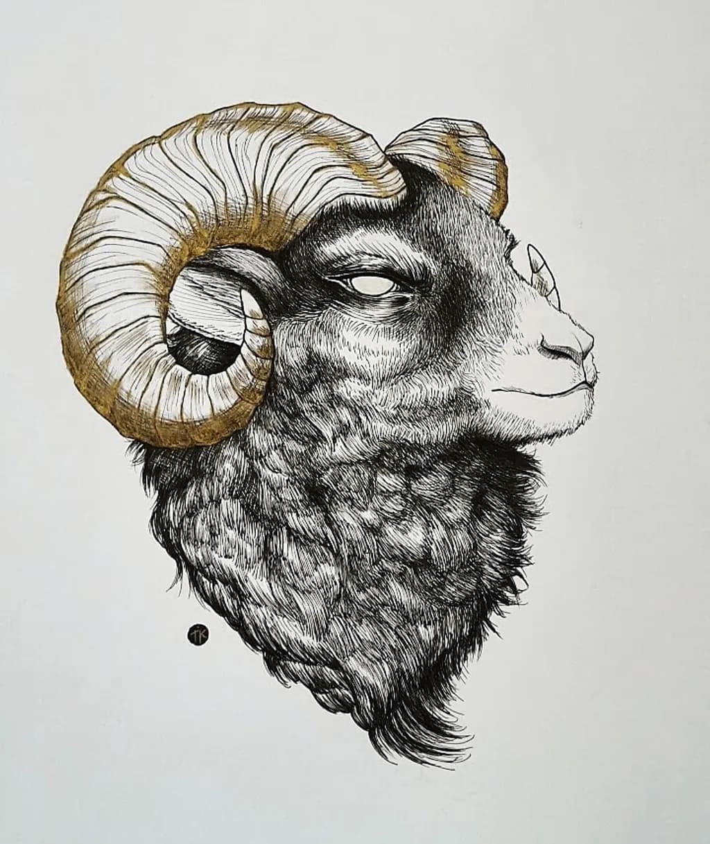 Ram in Profile