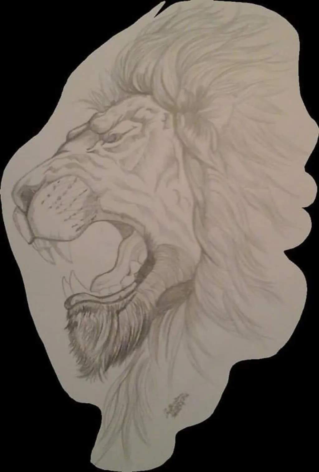 Lion in Profile
