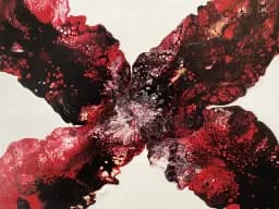 Papillon