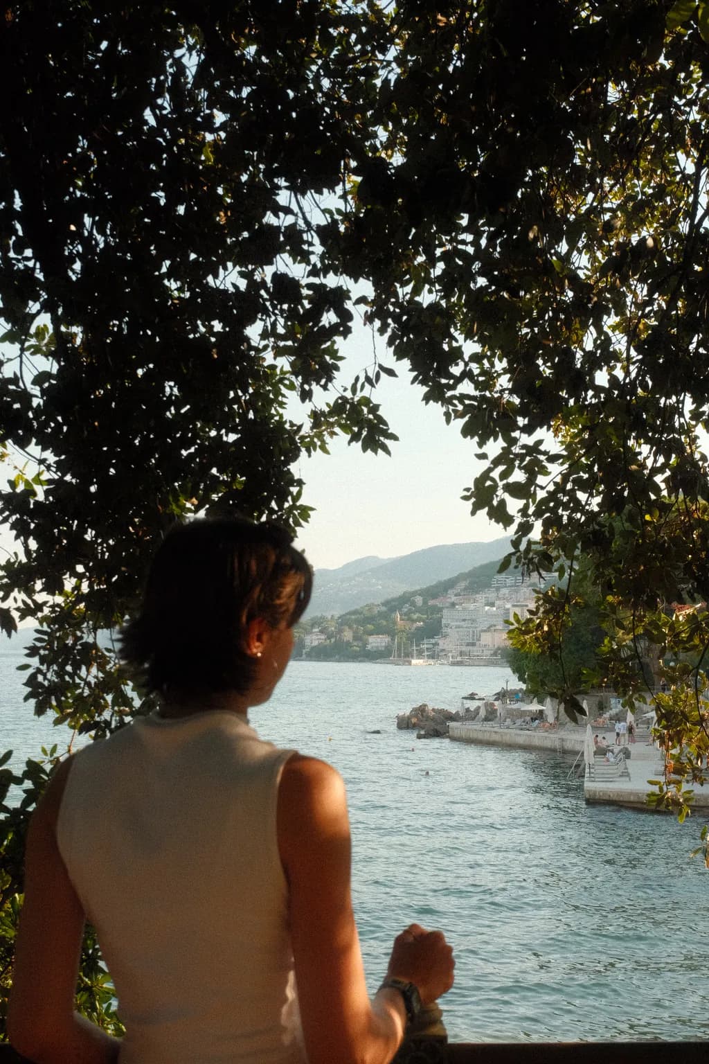 Bay Beyond the Leaves