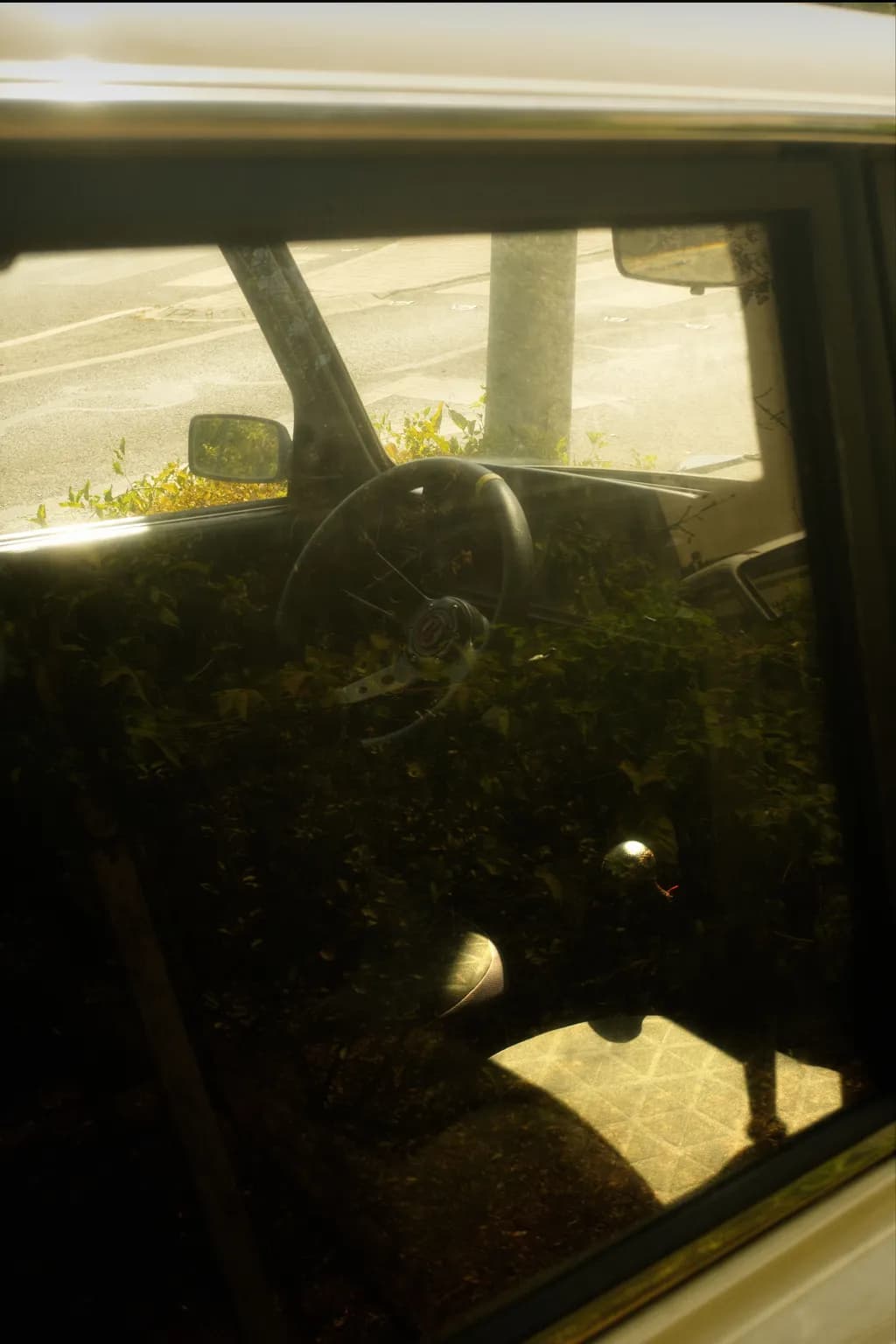 Sunlit Abandoned Car