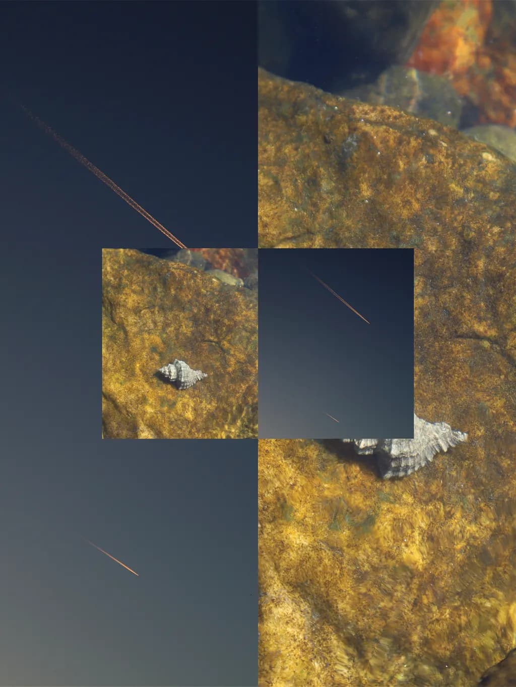 Underwater Fragments