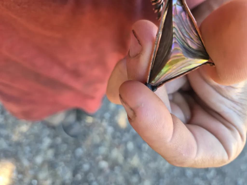 Iridescent Abolone Pendant