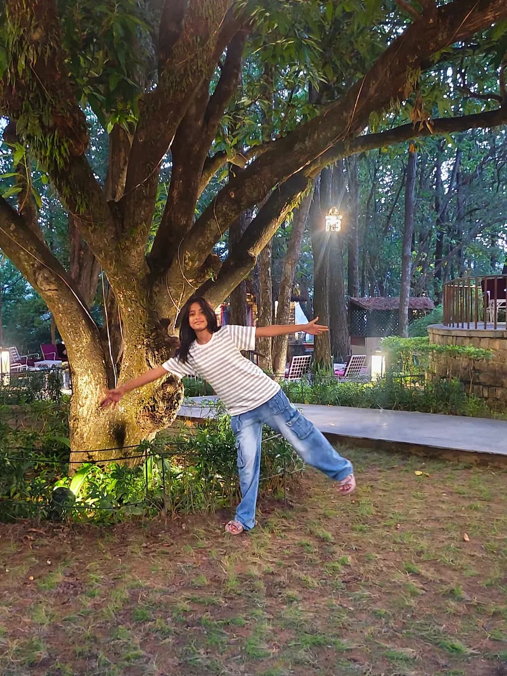 Forest Tree Celebration