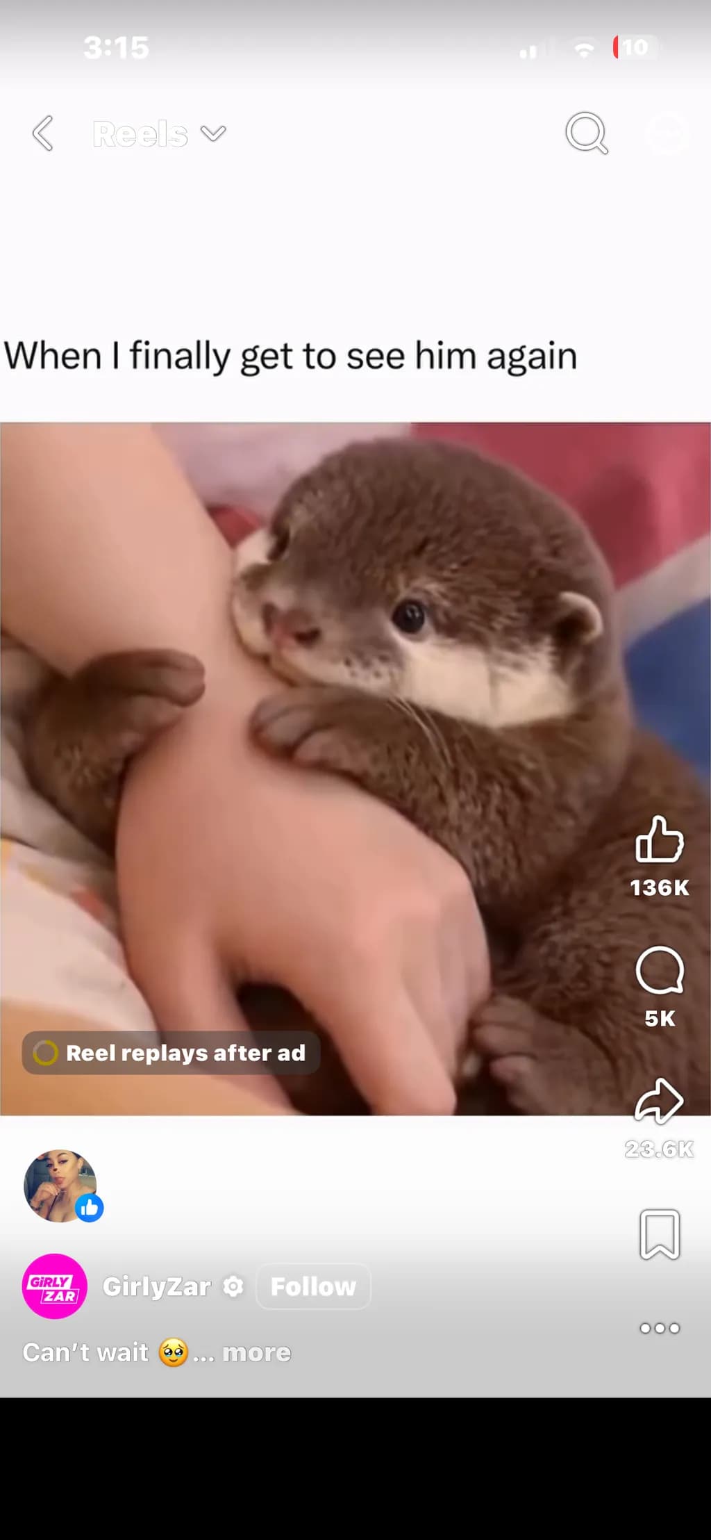 Otter Reunion