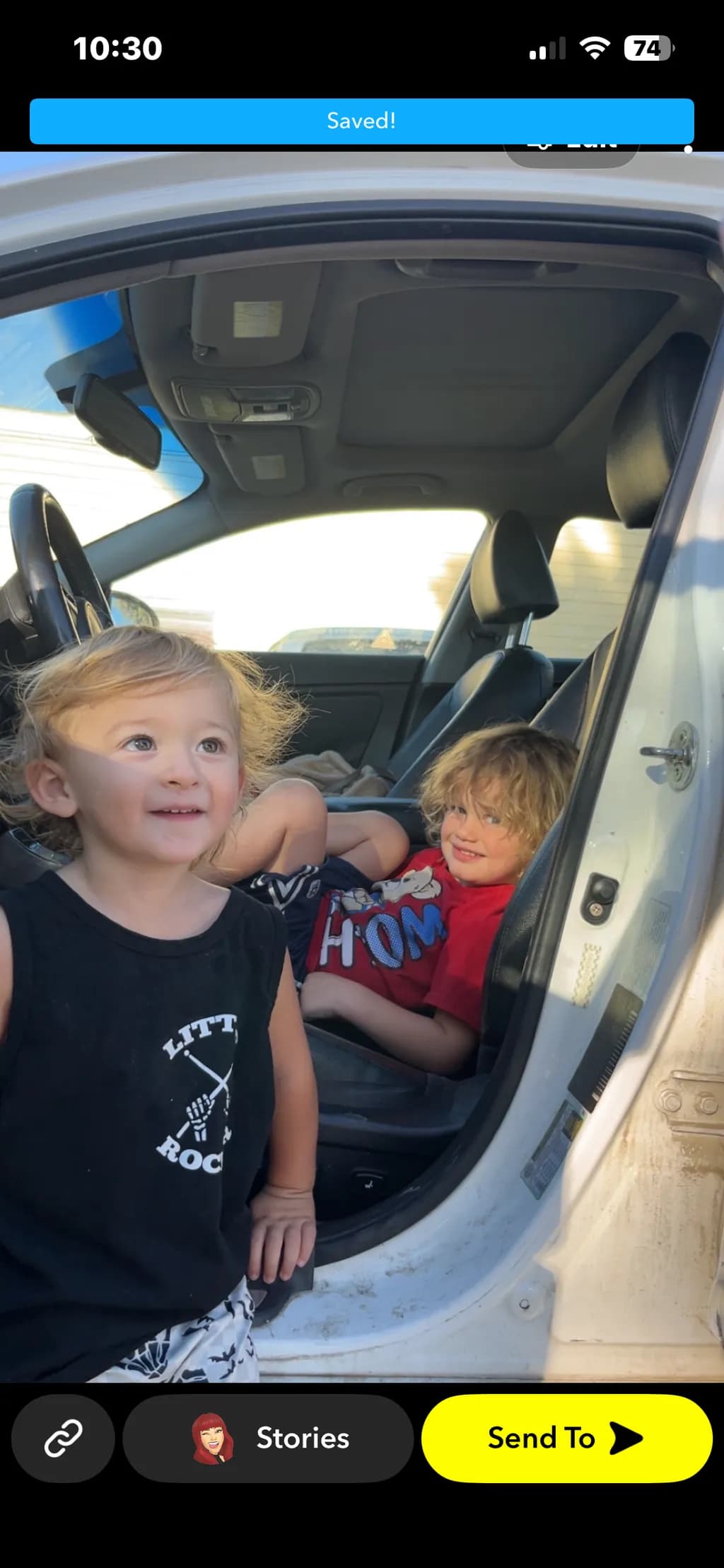 Car Door Companions