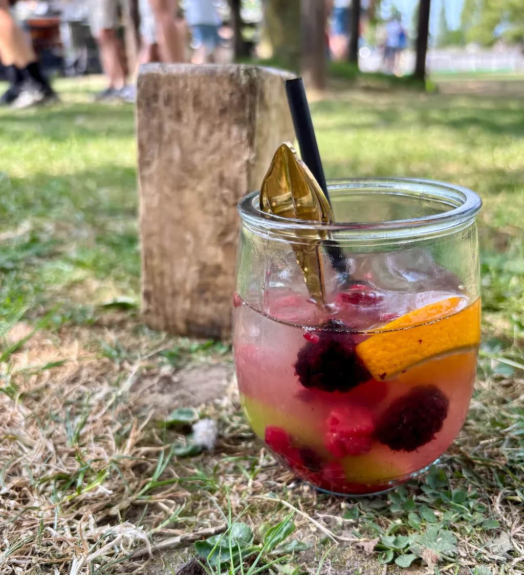 Berry Citrus Spritz
