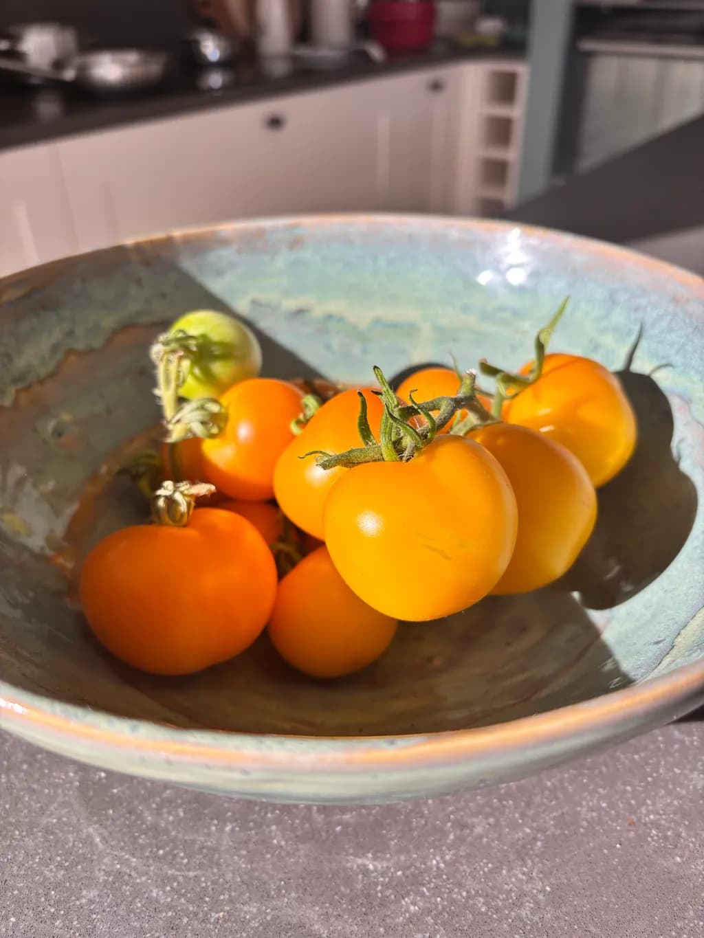 Sunlit Tomato Bowl
