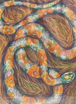 Snake in the Grass
