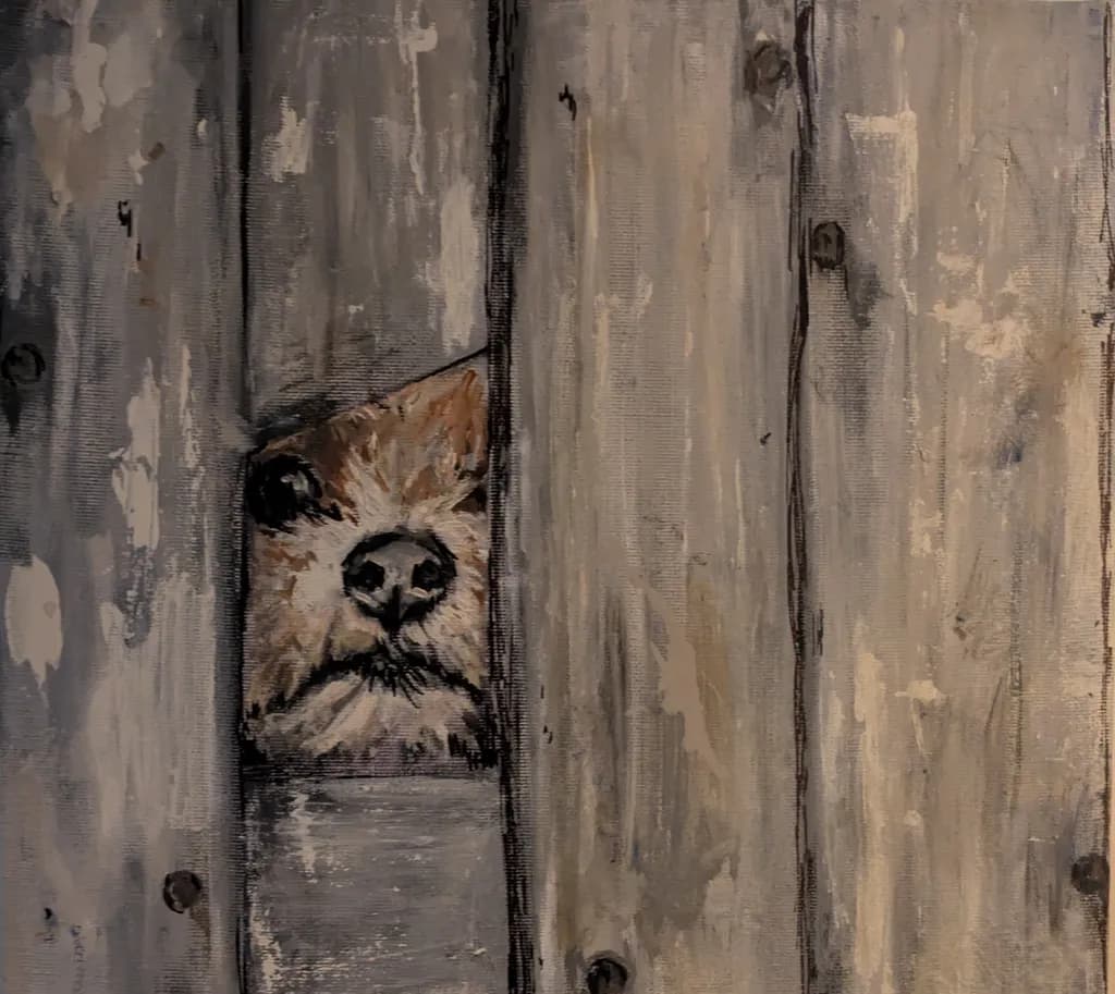 I See You