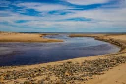 The Little River to the Atlantic, Drakes Island, Maine