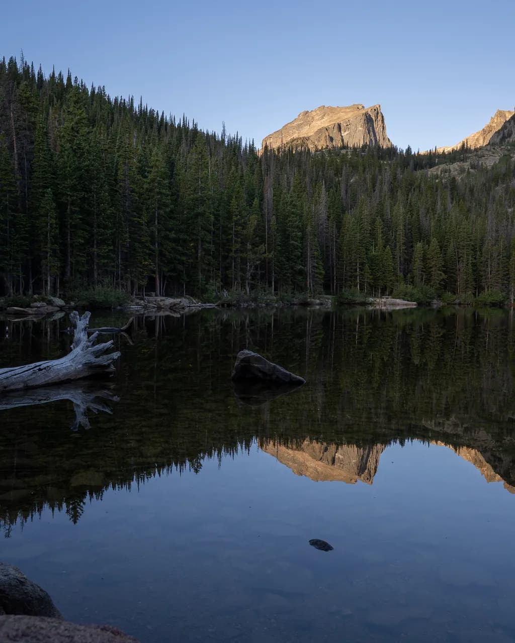 Mount Hallett Reflected on Bear Lake