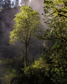 Quiet Light at Multnomah Falls