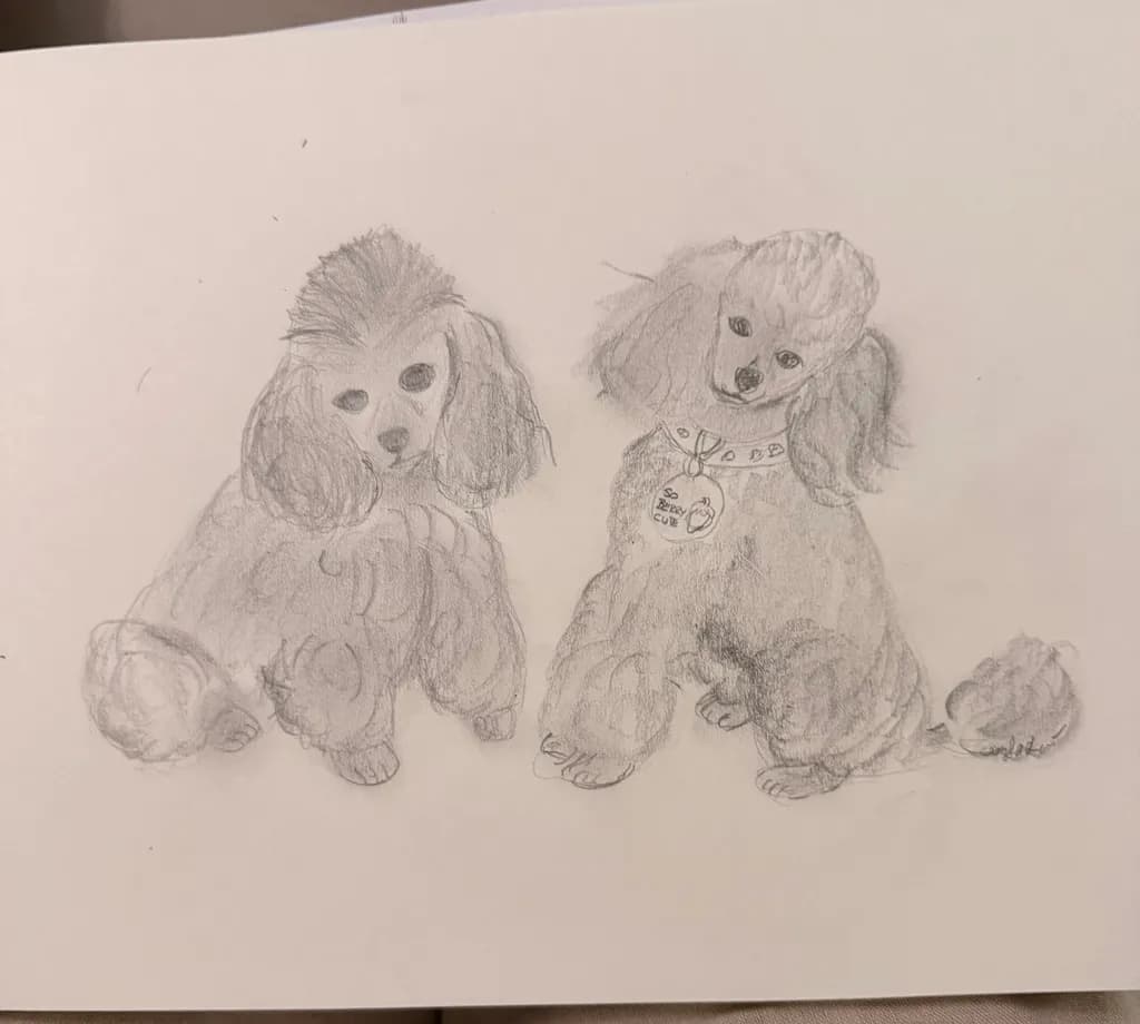 Poodle Pair Portrait