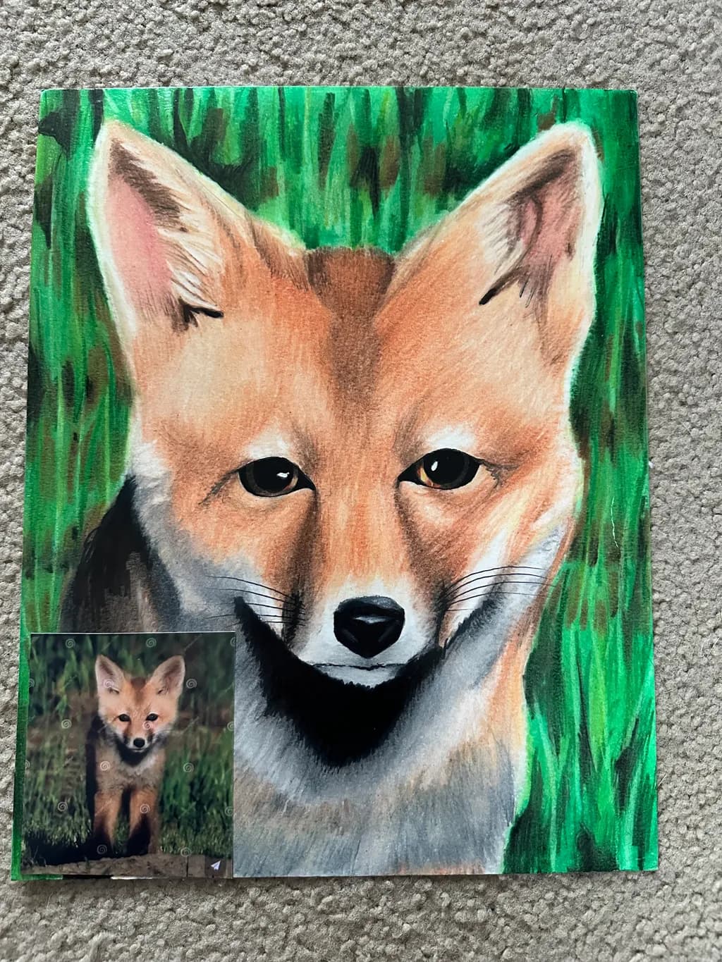 Forest Fox Portrait