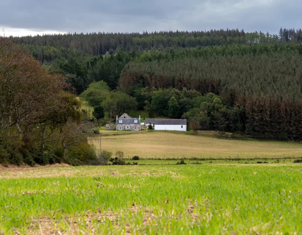 Farmhouse Below the Forest