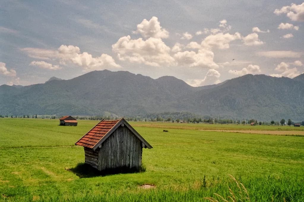 Shed Beneath the Mountains