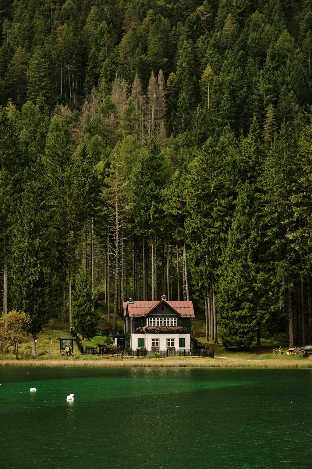 Lakeside House in the Forest
