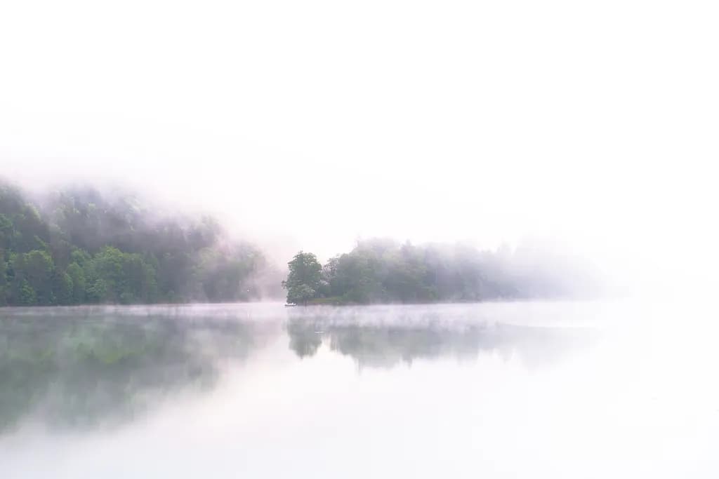 Misty Forest Lake