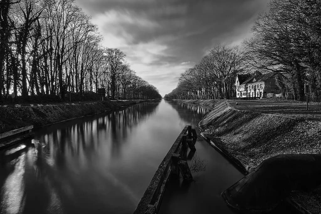 Canal Through the Trees