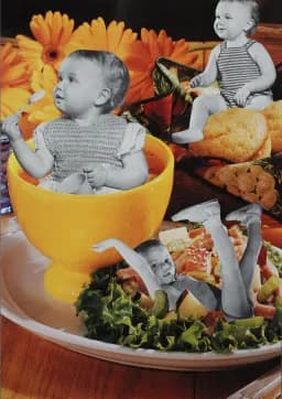 Starting on Solids