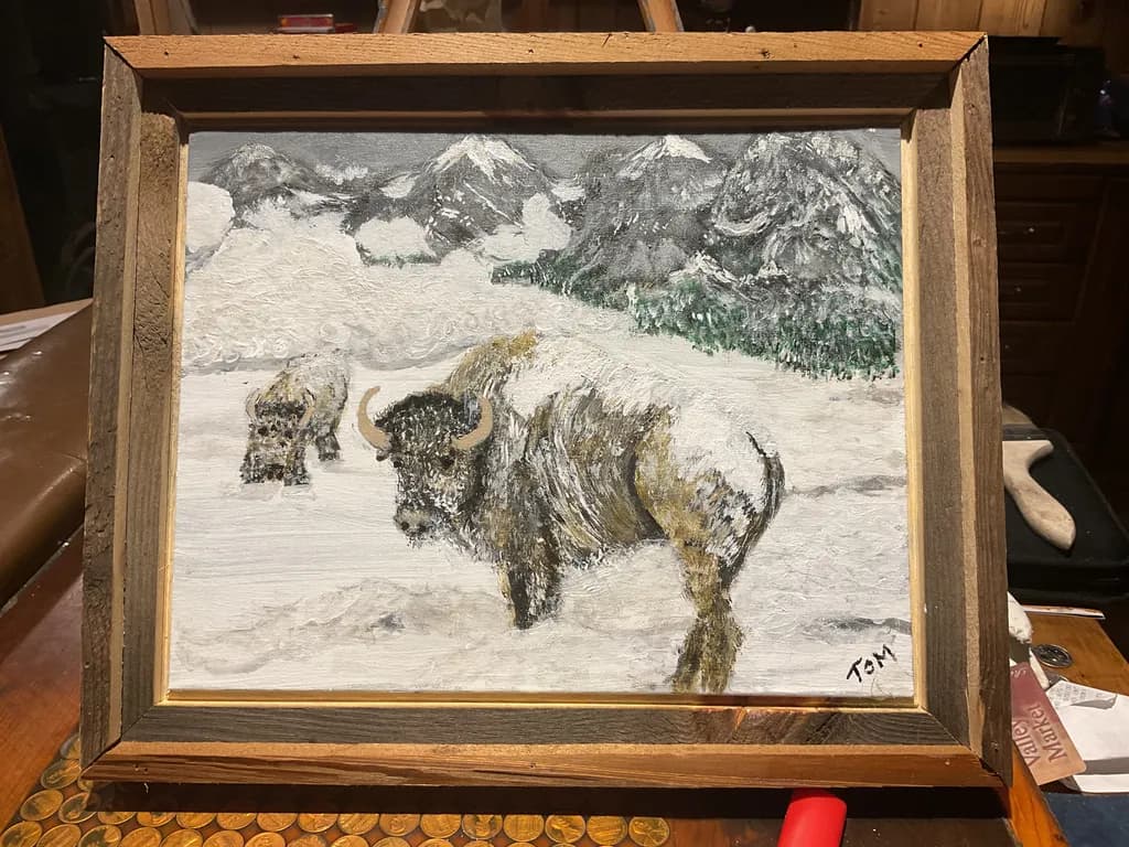 Snowy Mountain Buffaloes