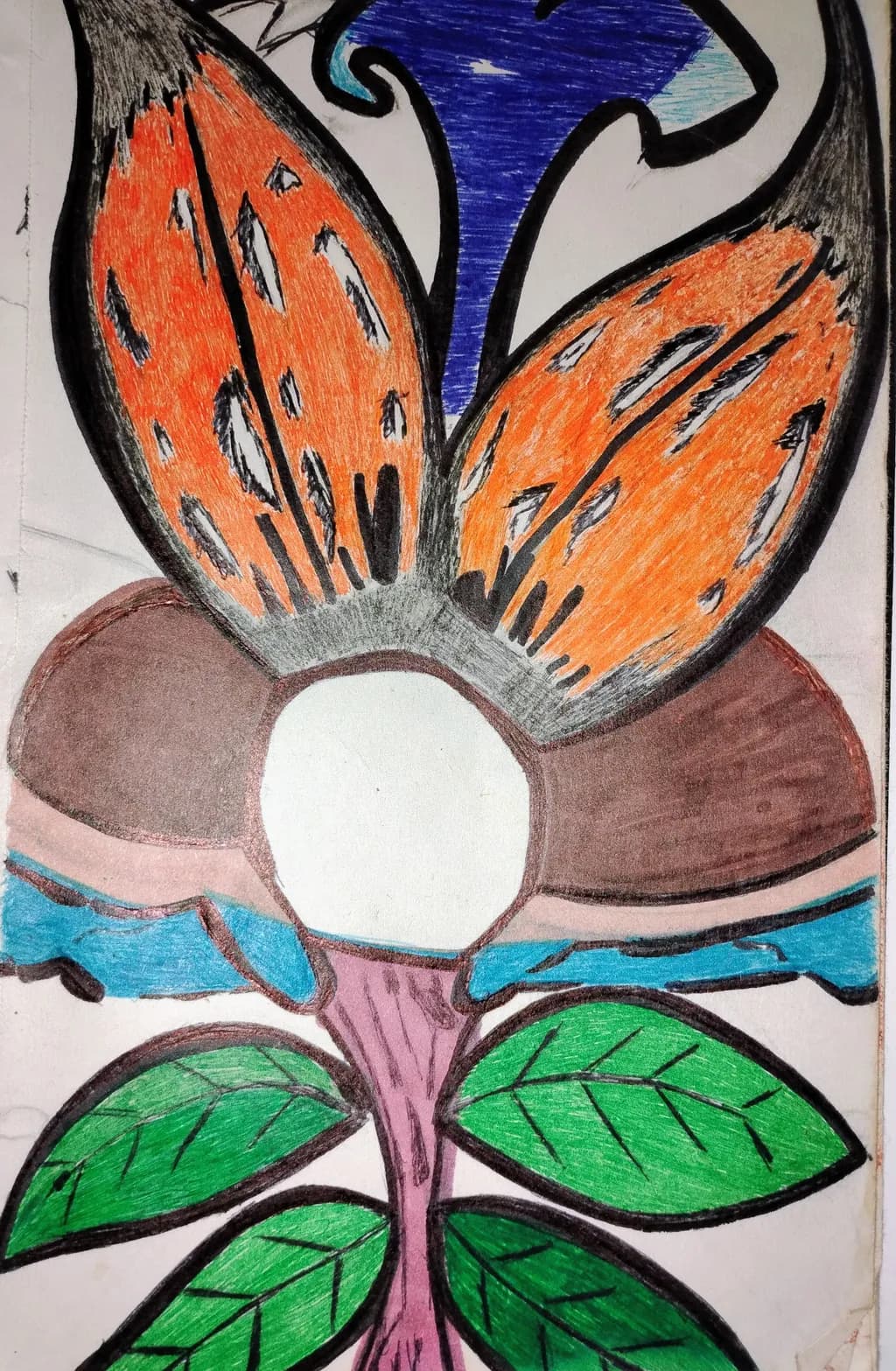Butterfly Bloom