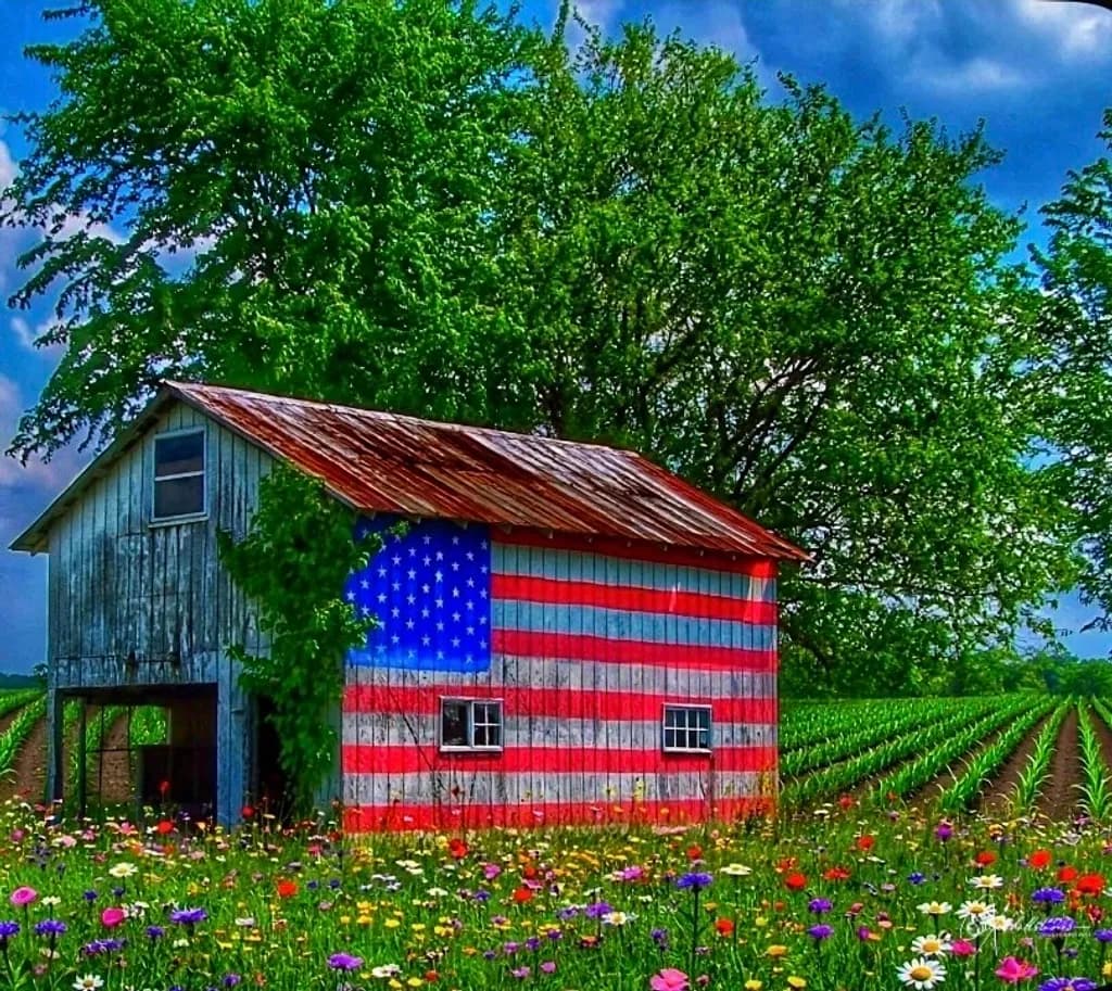 American Cornfield Barn