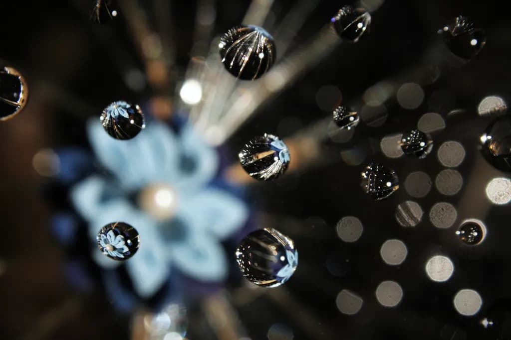 Dewdrop Reflections