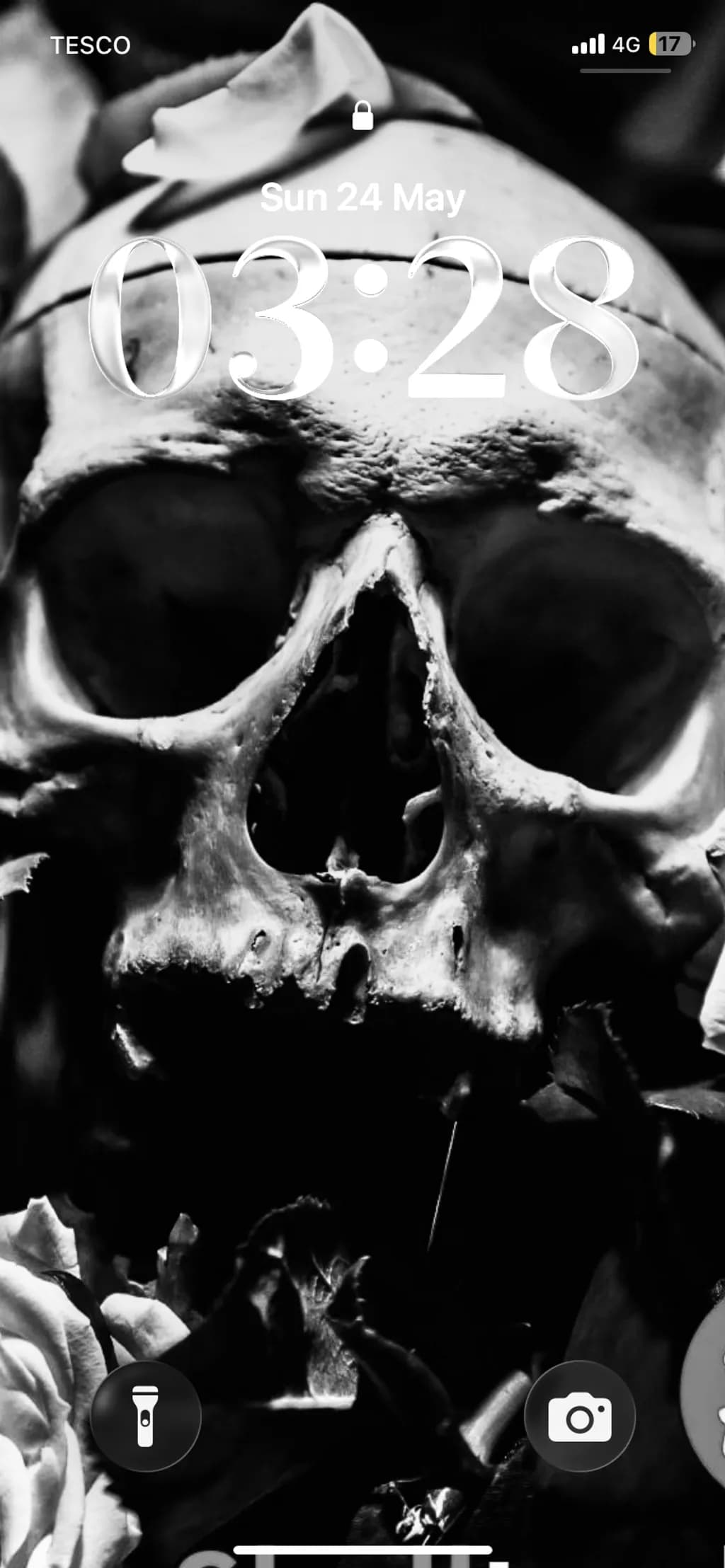 Skull in Monochrome