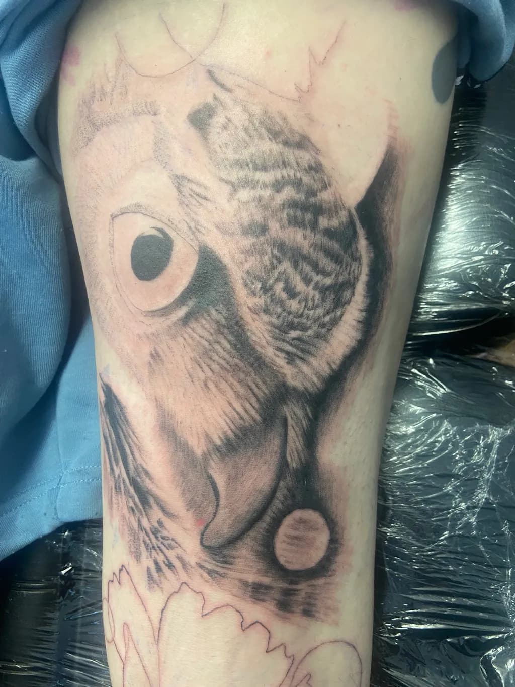 Owl in Flight