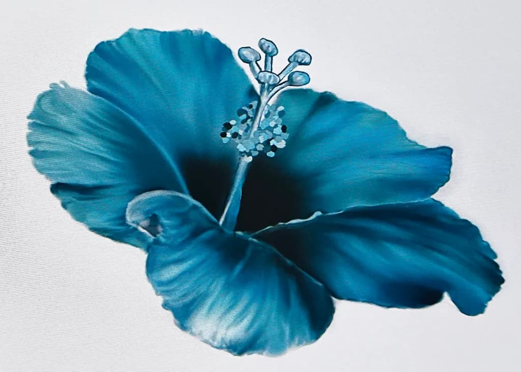 Blue Hibiscus Bloom