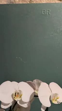 White Orchids on Slate