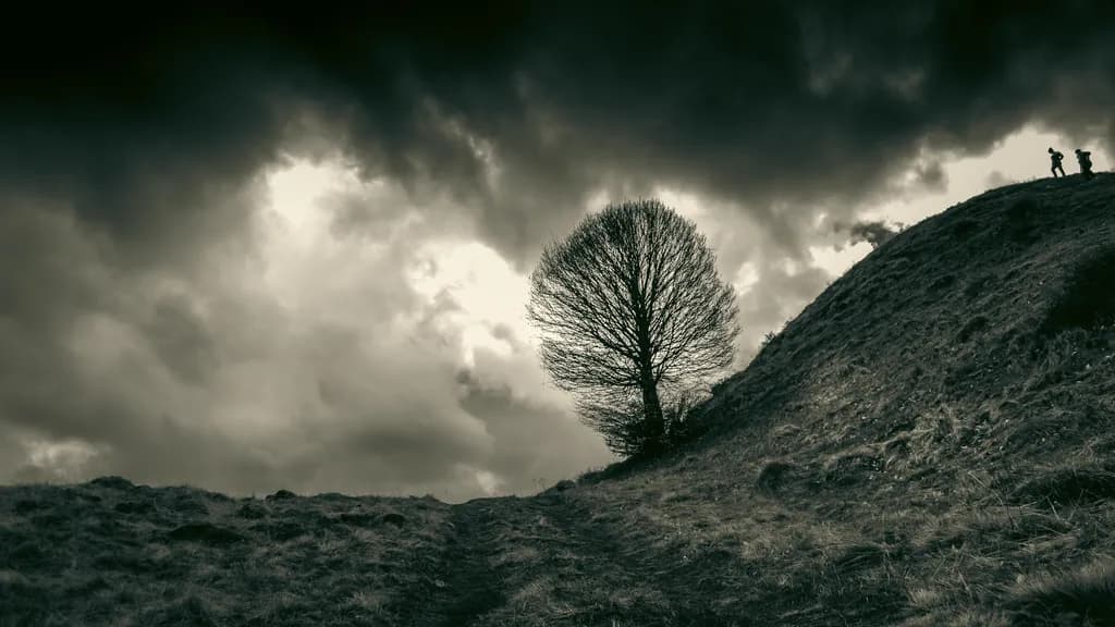 Lone Tree on the Hill