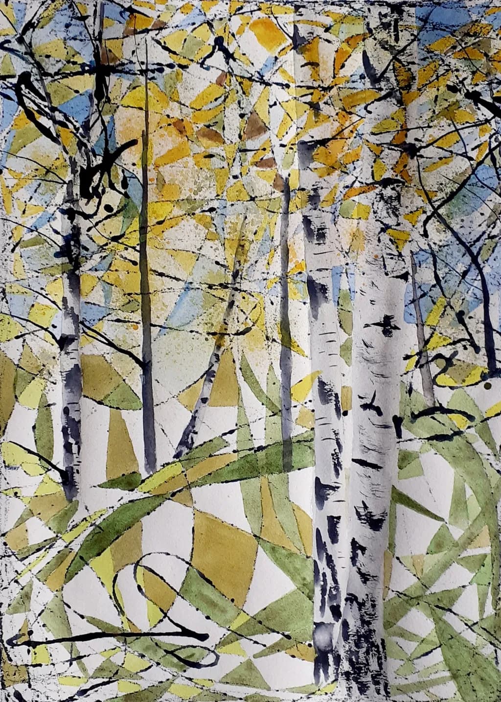 Birch Trees in Autumn