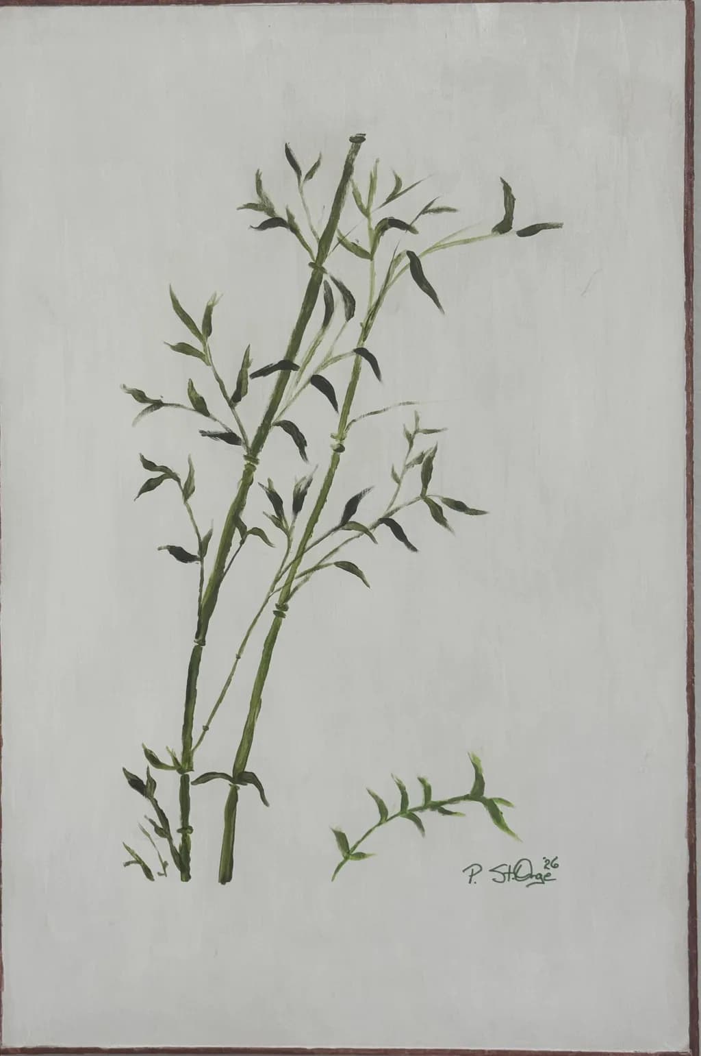 'Bamboo 1'