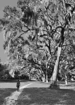 Dunnellon Lake Path