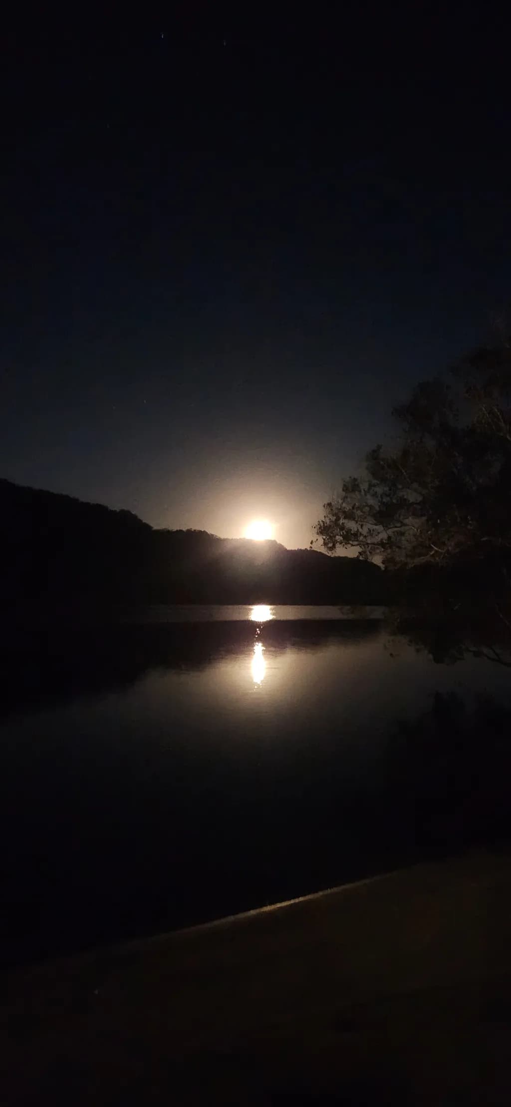 Moonlit Lake Reflection