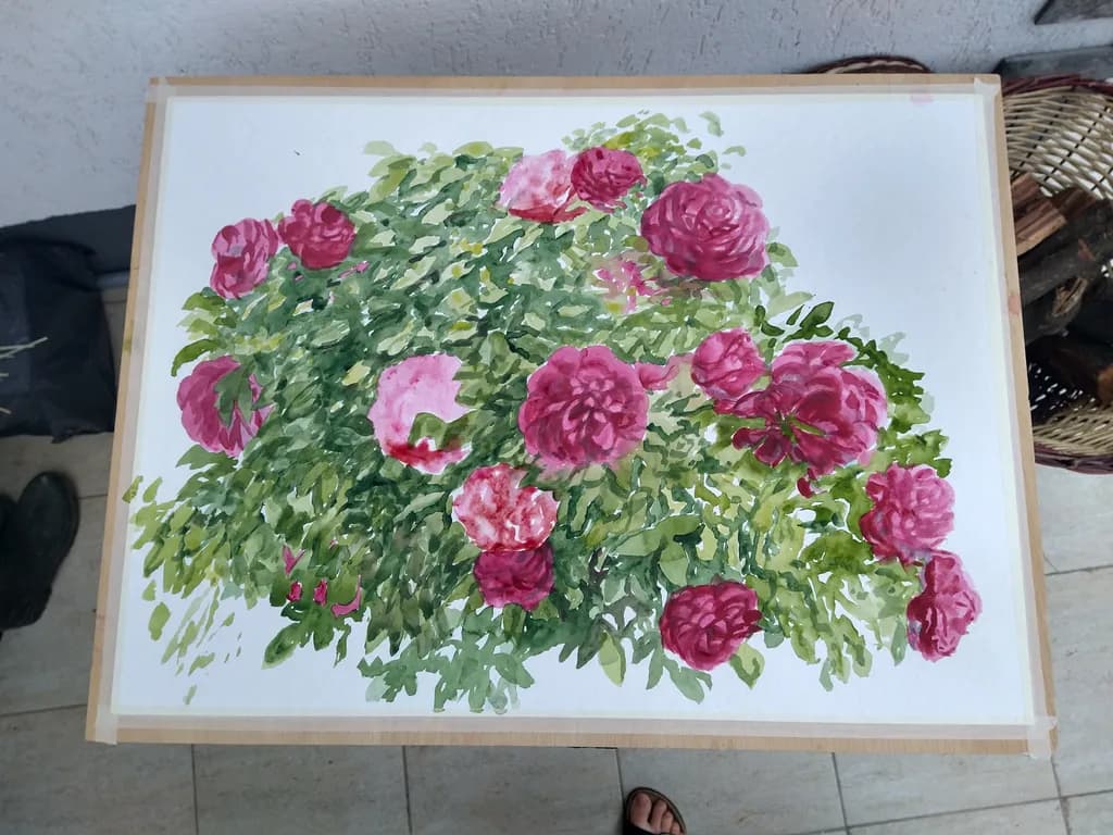 Rose Garden Study