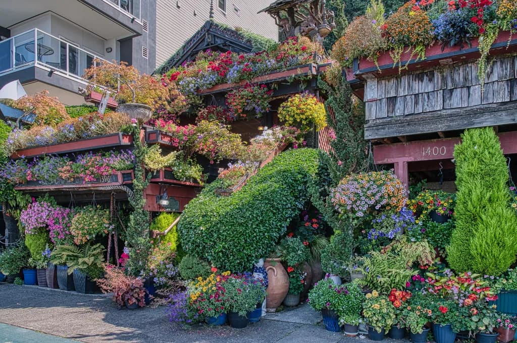 Alki Flower Houses