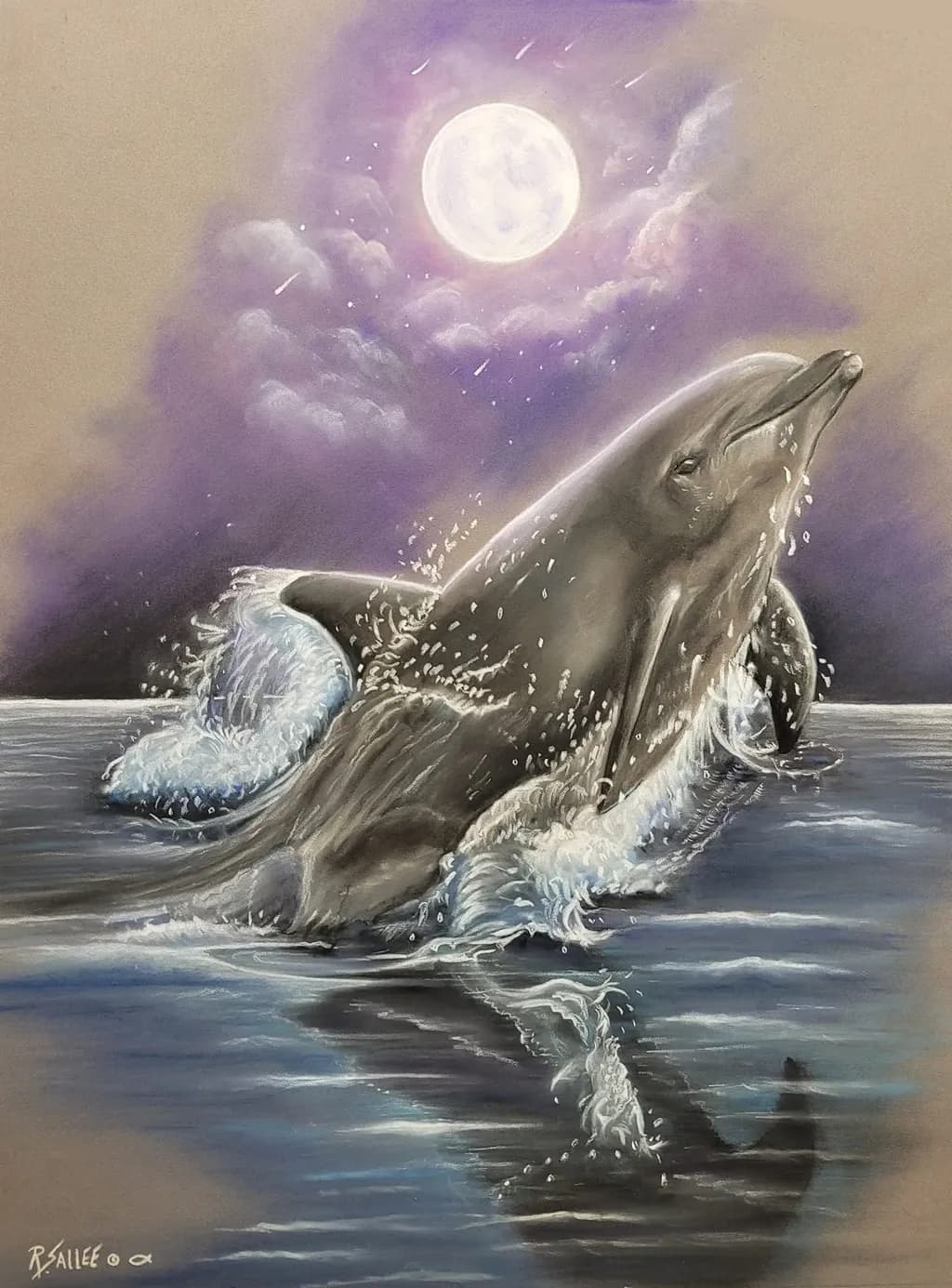 Moonlit Dolphin Breach