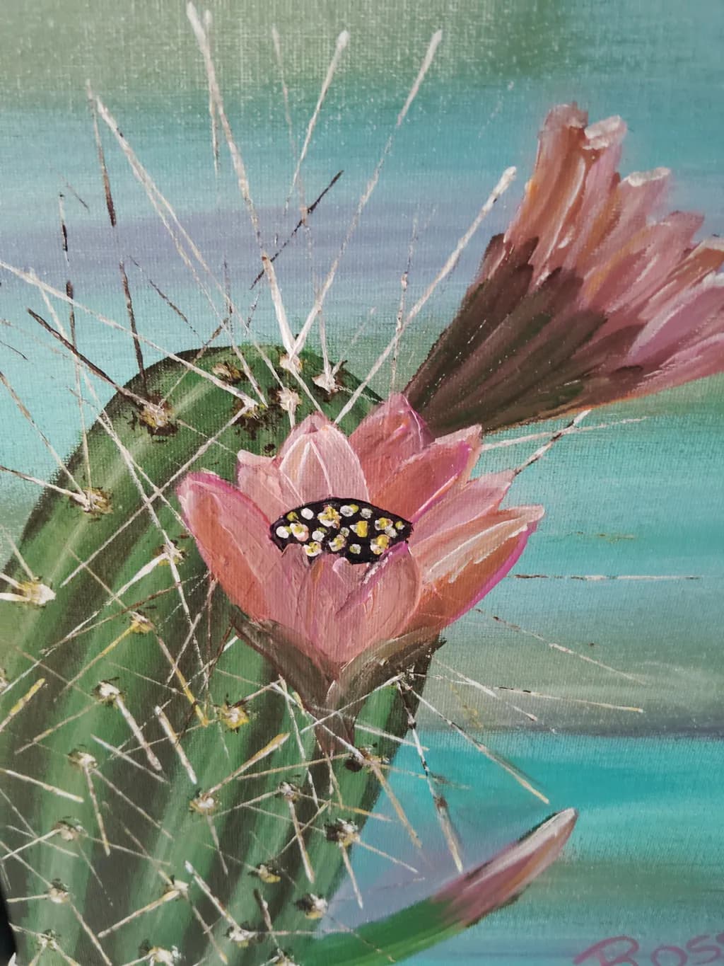 Cactus Bloom