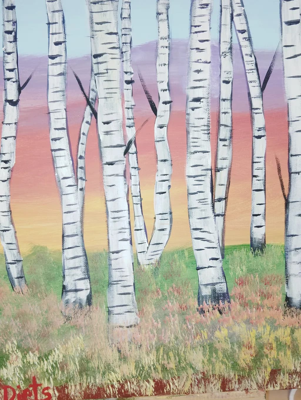 Birch Sunset Meadow
